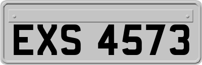EXS4573