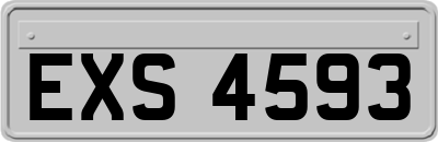 EXS4593