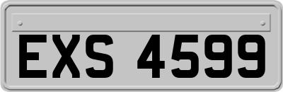 EXS4599