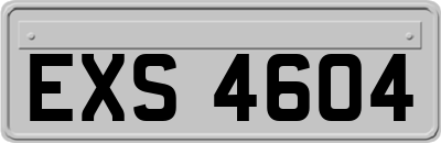 EXS4604