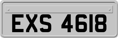 EXS4618