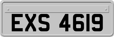 EXS4619