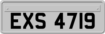 EXS4719