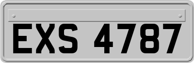EXS4787