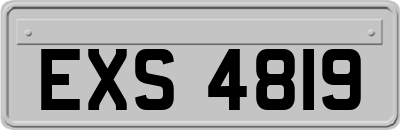 EXS4819