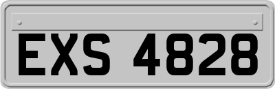 EXS4828