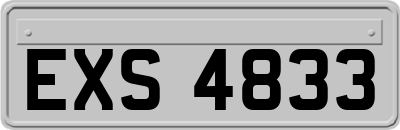 EXS4833