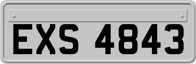 EXS4843