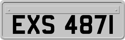 EXS4871