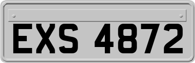 EXS4872