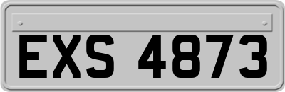 EXS4873