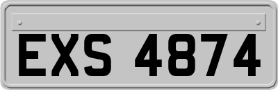 EXS4874