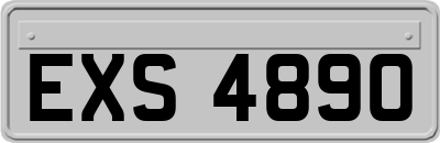 EXS4890
