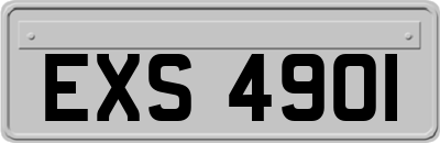 EXS4901