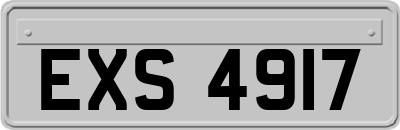 EXS4917