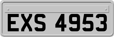 EXS4953