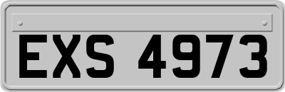 EXS4973