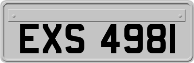 EXS4981