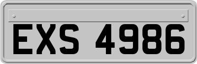 EXS4986