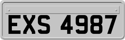 EXS4987