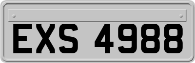 EXS4988