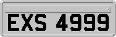 EXS4999