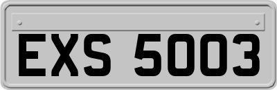 EXS5003