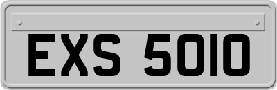 EXS5010