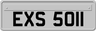EXS5011