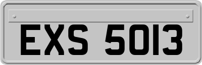 EXS5013