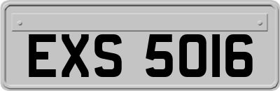 EXS5016