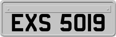 EXS5019