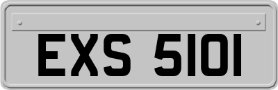 EXS5101