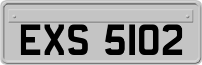 EXS5102