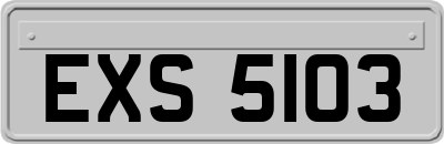 EXS5103