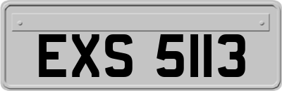 EXS5113