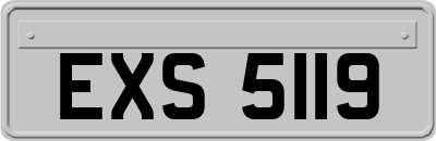 EXS5119