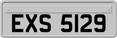 EXS5129