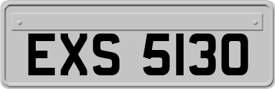 EXS5130
