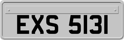 EXS5131