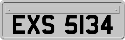 EXS5134
