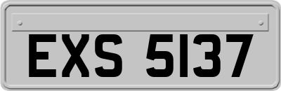 EXS5137