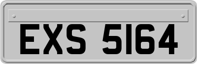 EXS5164