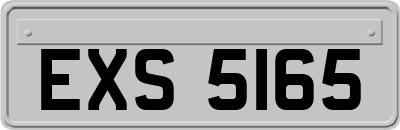 EXS5165