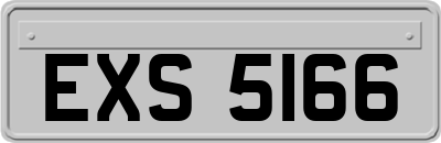 EXS5166