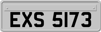 EXS5173