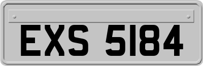 EXS5184