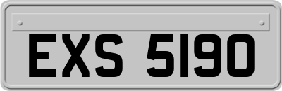 EXS5190