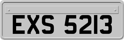 EXS5213