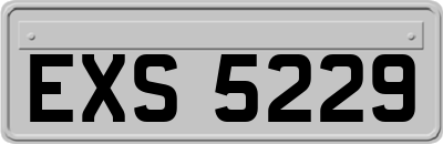 EXS5229